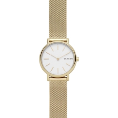 ساعت مچی اسکاژن SKW2693 - skagen watch skw2693  
